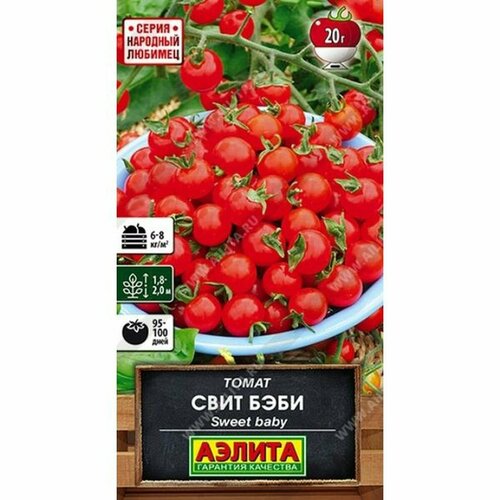 ������ ������ ������ ����� ���� ����, �����������, ������������, (������) 20�� �������� ������� ����