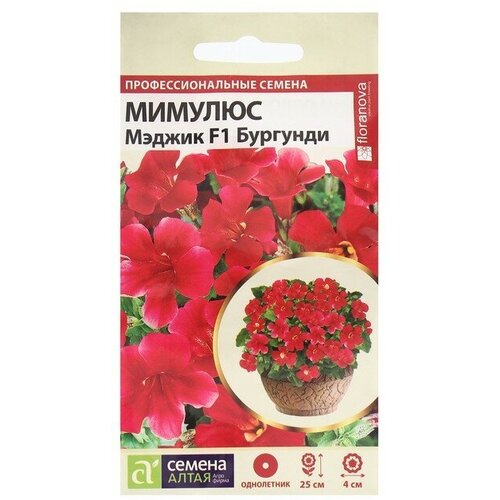 ������ ������ ������ ������� ������ �������� 10�� ��� 25�� (������ �����) ����