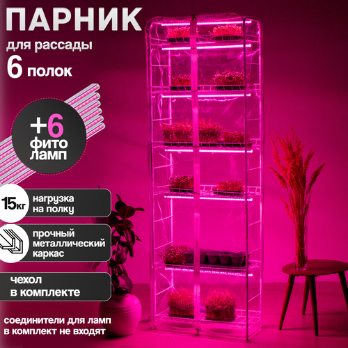 ������ ������ ������� ��� ������� ������������� ����� �� 6 ����� + 6 �������� ����