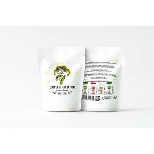 ������ ������ ���� ���������� 10 ����� ����