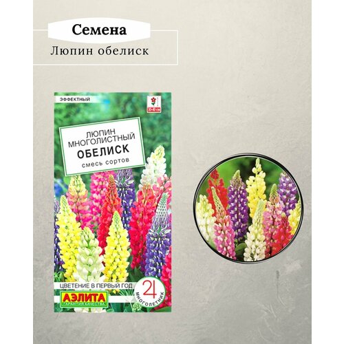 ������ ������ ������ ������/ ����������� ����� / ����� ����