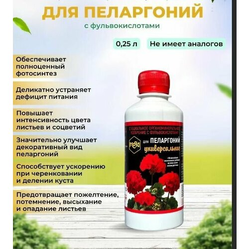 ������ ������ ��������� ��� ���������� 0,25 � ���� ����