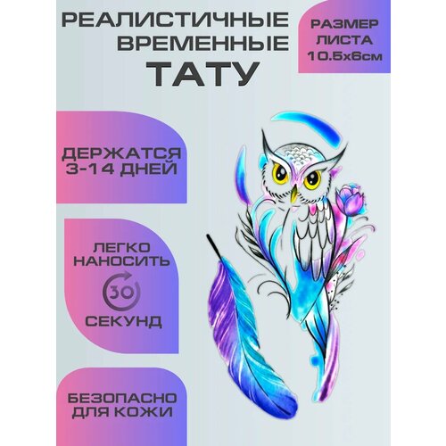 ������ ������ ���������� ����������, ��������� ���� ���� � ���� ����
