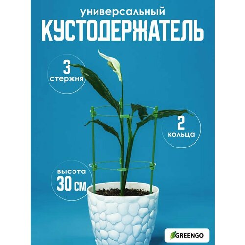 ������ ������ ��������������, d = 18 ��, h = 30 ��, 2 ������, ������, ������, Greengo ����