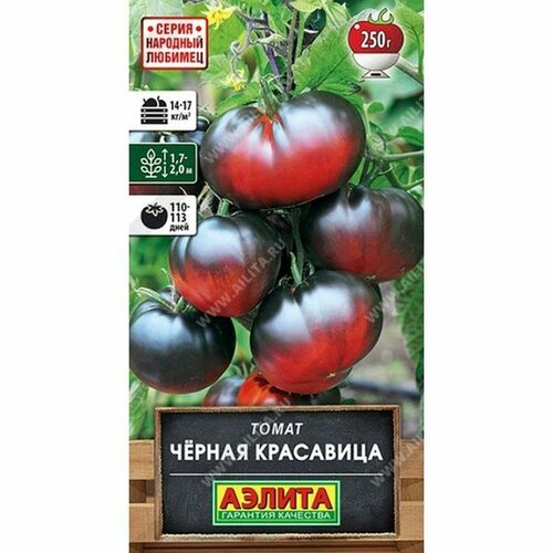 ������ ������ ������ ����� ������ ���������, ������������, ������������, (������) 20�� �������� ������� ����