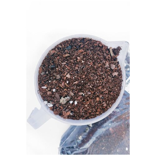 ������ ������ ����� ��� �������� 2 ����� ����