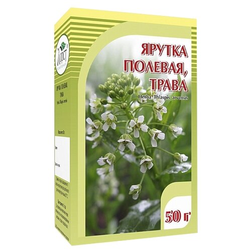 ������ ������ ����� ����� ������ ������� ����