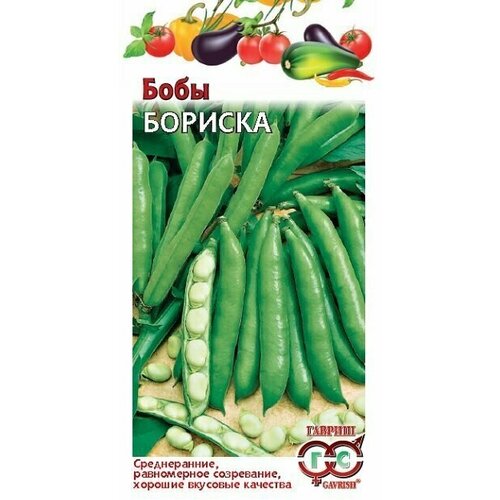 ������ ������ ������ ���� �������, 10��, ������, ������� ��������� ����