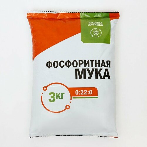 ������ ������ ��������� ����������� 