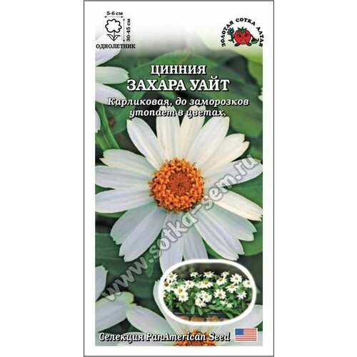 ������ ������ ������ ������ ������ ���� 5��. (������� ����� �����) ����