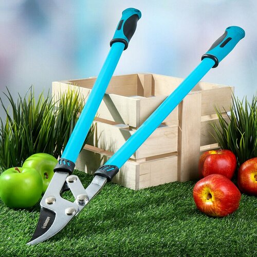 ������ ������ �������� 750 ��, ������� ����, ������������ ��������, Grandy, �������� ���������������� ����