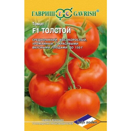 ������ ������ ������ ����� ������� F1 10�� ����� (������) ����