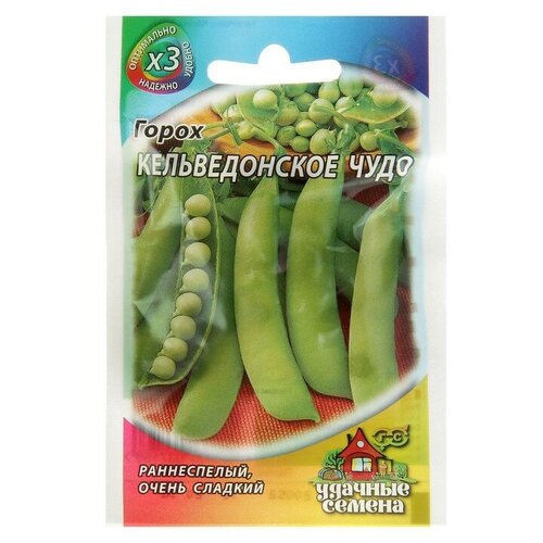 ������ ������ ������ ����� 