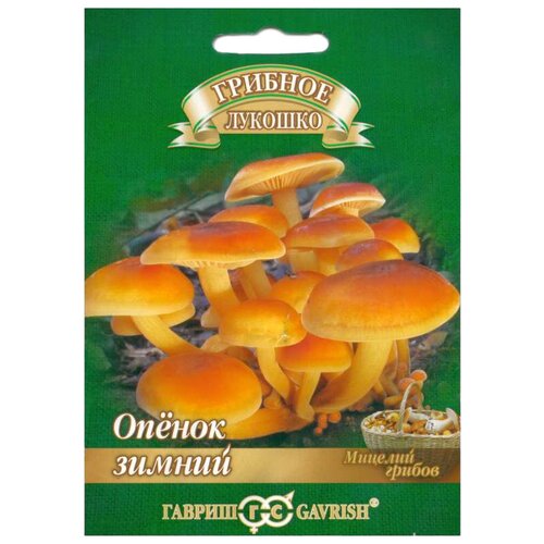 ������ ������ ������� ������ ������ ������ ������ �� ��������� ������� 12 �� ����