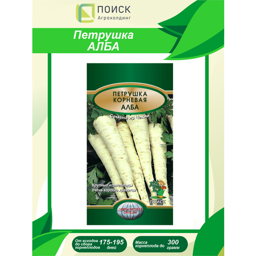 ������ ������ ������ �������� �������� ���� 2 ��. ����