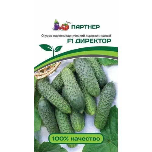 ������ ������ ������ �������� F1 (5��) ������� ����