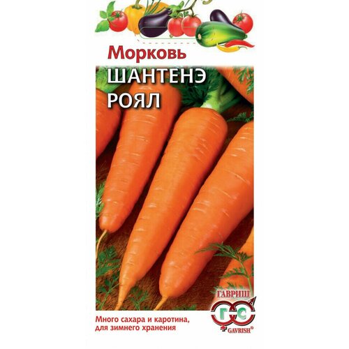 ������ ������ ������. ������� 