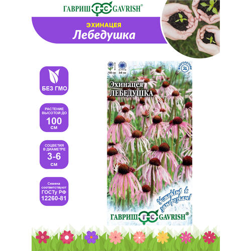 ������ ������ ������ �������� ��������� ����� �������� � ���������� 0,1 ��. ����