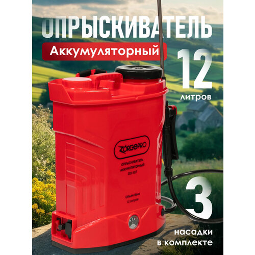 ������ ������ ������������� �������������� ZORGEPRO 12� ����