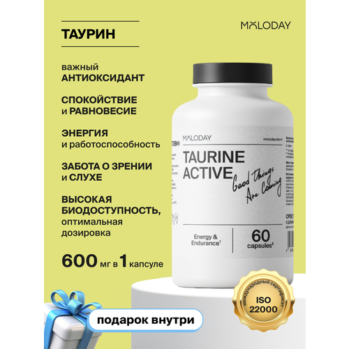 ������ ������ ������ MOLODAY, ������ ������, ��� ������ �������, 60 ������ ����