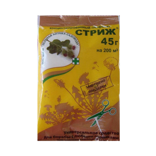 ������ ������ �������� �� �������� ������� ������ �������� 