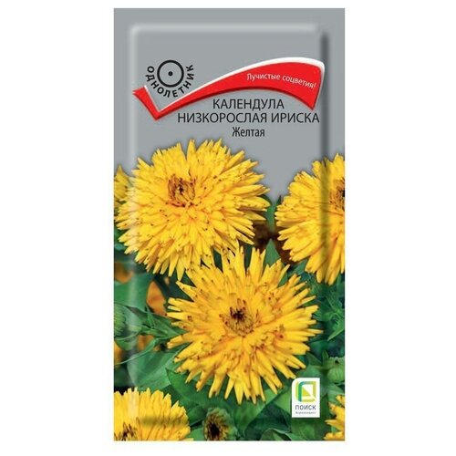 ������ ������ ������ ��������� ����������� ������ ������, 10 ��, 0.1� ����