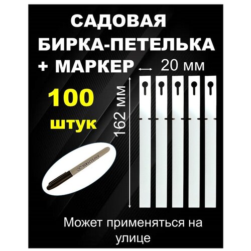 ������ ������ ������� ����� ��������, ����� 20*162 �� 100�� . ����