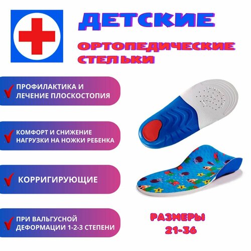 ������ ������ ������� ��������������, �������, �������������, ��� ������������, ��� ����� M(28-30) ����