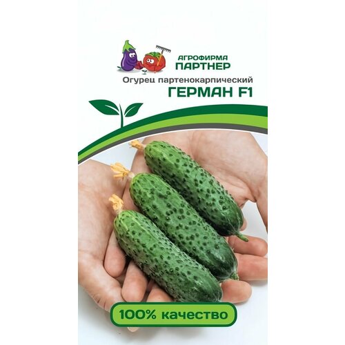 ������ ������ ������ ������ ��������� ������� 