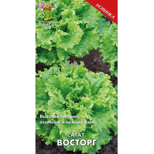 ������ ������ ������ ����� 