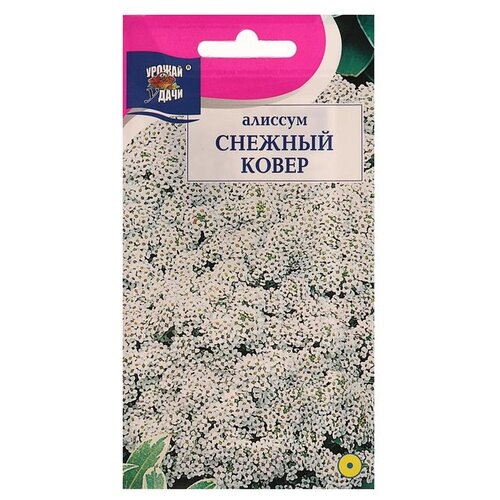 ������ ������ ������ ������ ����� ������� ������� �����, 0,1 �� ����