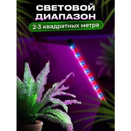 ������ ������ ��������� ��� ��������, ������������, 1 �����, ������ ������, �� ��������, USB ����