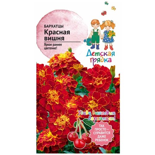 ������ ������ �������� ������� ����� 10 �� �� / ������ ���������� ������ ��� ���� / ���������� ����� ��� ������� ����