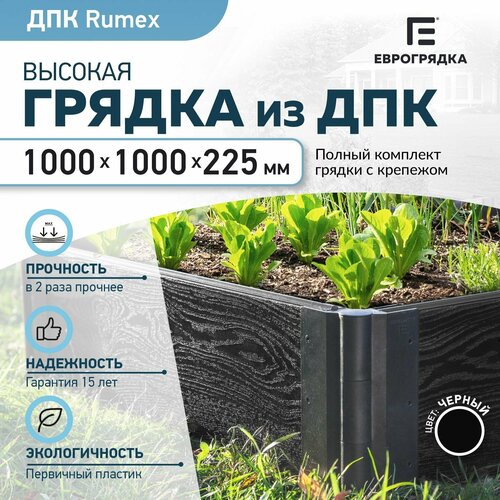 ������ ������ ������ �� ��� 1 � � 1 �, (����� Rumex: 225�30 ��, ����: ������) ����
