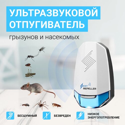 ������ ������ ������������ ��������������, �����, ���������, ��������, ����, ��������� ����