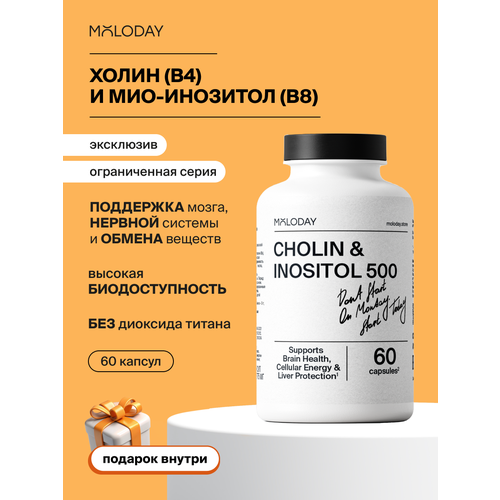 ������ ������ ����� � �������� Moloday, ��� ����� � ������, 500+500��, 60������ ����