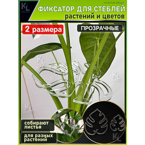 ������ ������ KoLeli / �������� ��� ����� ������� � �������, �������� �����, ����������, 2 ��. ����