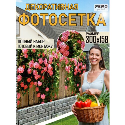 ������ ������ ��������� ��� ������ 300�158�� ��� ����