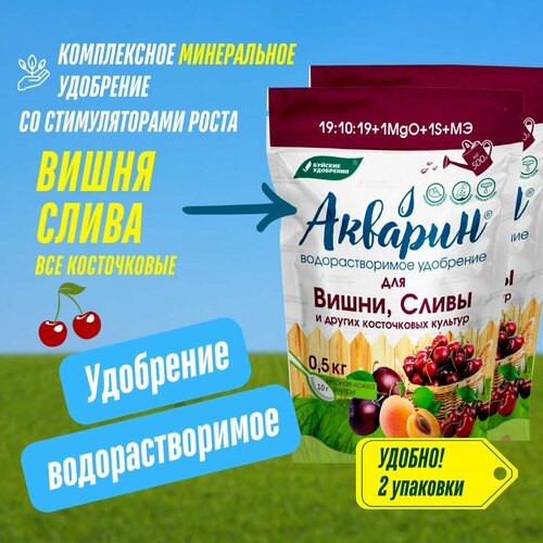 ������ ������ ��������� ������� ��� �����, ����� � ������ ����������� �������, 2 �������� �� 500 �� (1 ��), ������� ��������� ����