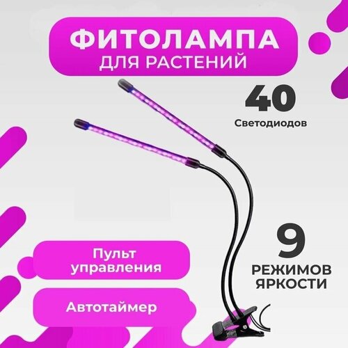 ������ ������ ��������� �� ��������, 2 ������ �����, ������, 3 ������ ������ ����