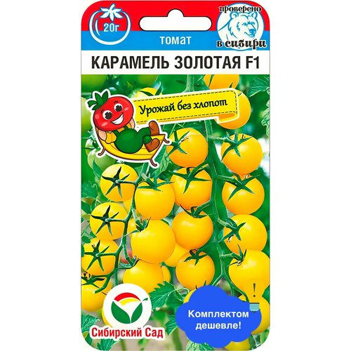 ������ ������ ������ ������ ��������� ��� 