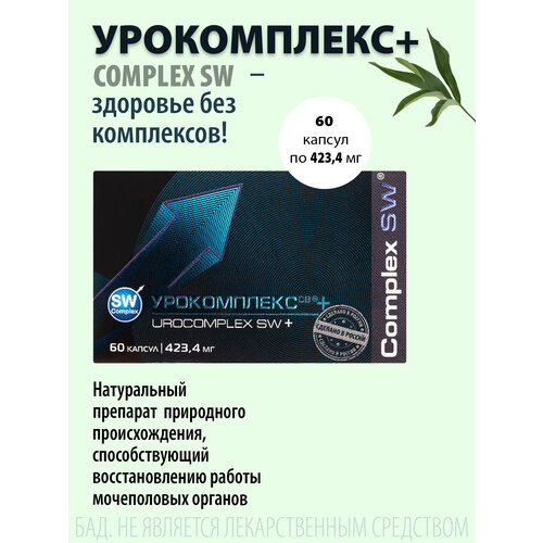 ������ ������ ����������� ��+, 423.4 ��, 60 ��., ����������� ����