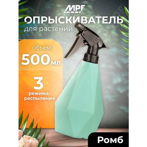 ������ ������ ������������� ����, 500 ��, ����������� ����