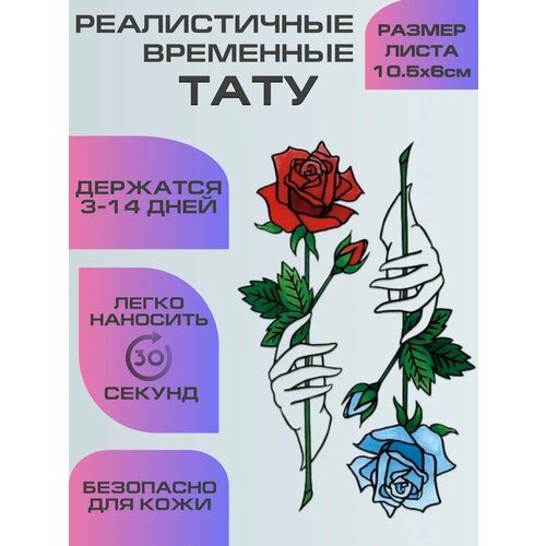 ������ ������ ���� ���������� ��������������, ��������� ���� ���� � ���� ����
