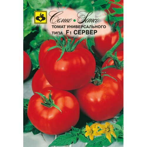 ������ ������ ������ ����� ������ F1 0.1� ��� ������ (�����) ����