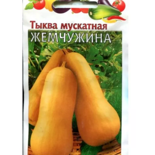 ������ ������ ������ ����� ��������� ��������� 1� (������) �������� ����