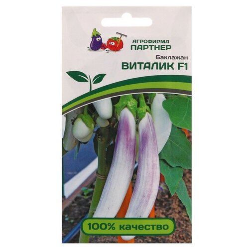 ������ ������ �������� ������� F1 ����