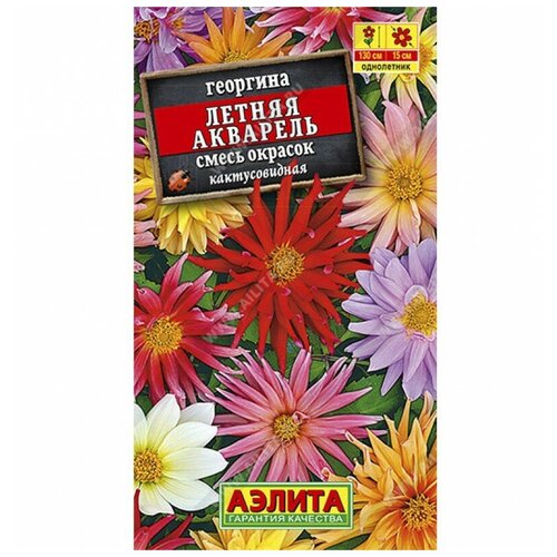 ������ ������ ������. �������� 