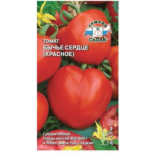 ������ ������ ����� 