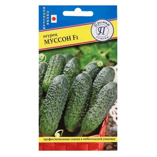 ������ ������ ������� ������ ������ ������ 